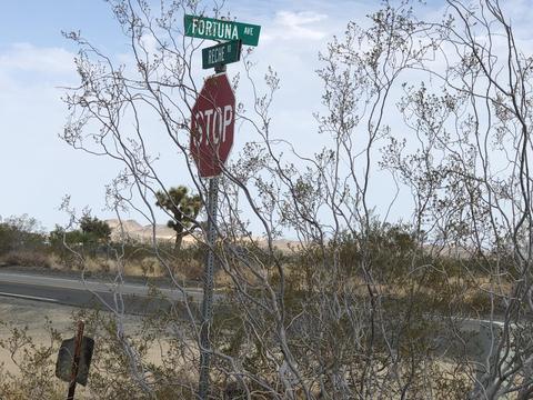 56720 Amargon Rd, Landers, CA 92285 photo 21