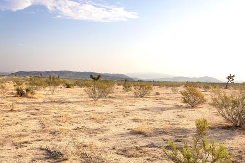 56720 Amargon Rd, Landers, CA 92285 photo 3