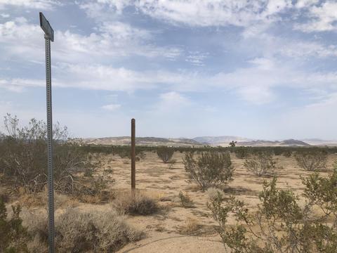 56720 Amargon Rd, Landers, CA 92285 photo 19