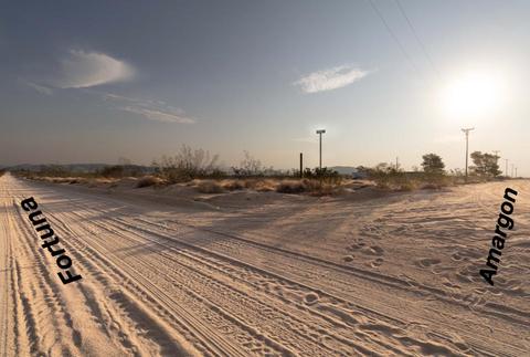 56720 Amargon Rd, Landers, CA 92285 photo 20