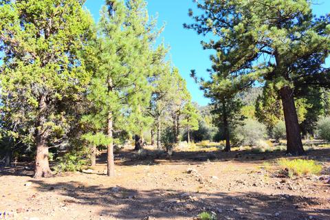 1295 Skyview Ct, Big Bear City, CA 92314 photo 28