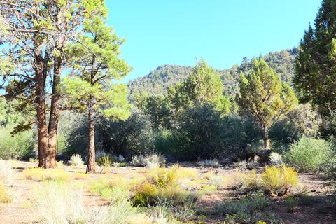 1295 Skyview Ct, Big Bear City, CA 92314 photo 6