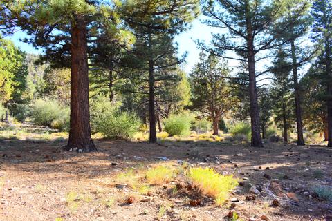 1295 Skyview Ct, Big Bear City, CA 92314 photo 29