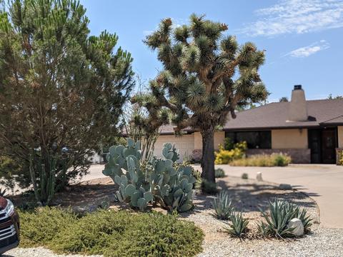 56761 Bonanza Dr, Yucca Valley, CA 92284 photo 44