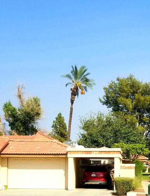 49112 Eisenhower Dr, Indio, CA 92201 photo 34