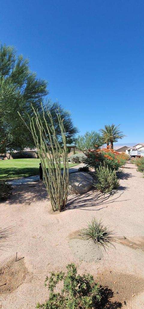 42181 Summit Way, Indio, CA 92203 photo 25