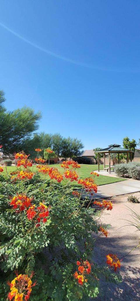 42181 Summit Way, Indio, CA 92203 photo 20