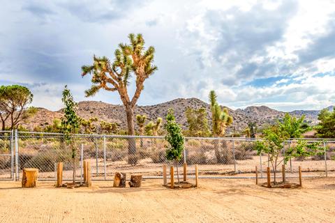 55917 Mountain View Trl, Yucca Valley, CA 92284 photo 44