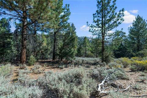 1144 Michael Ave, Big Bear City, CA 92314 photo 5