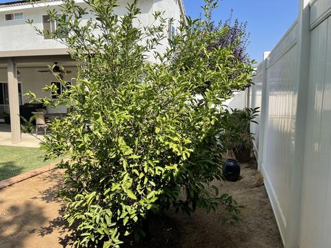 849 Cougar Ranch Rd, Beaumont, CA 92223 photo 26