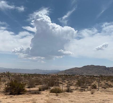 60376 Tacoma Ct, Joshua Tree, CA 92252 photo 23