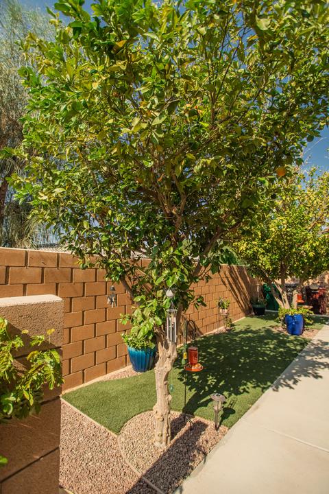 39700 Dali Dr S, Indio, CA 92203 photo 79