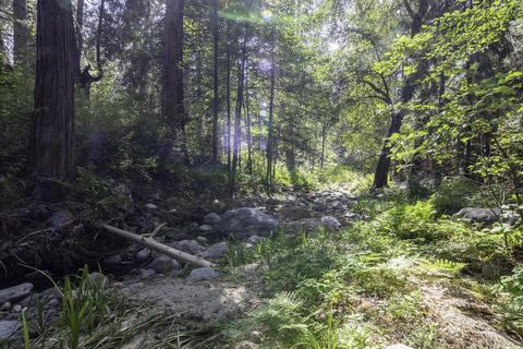 26270 Pine Dell, Idyllwild, CA 92549 photo 40