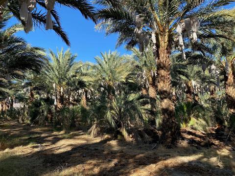 38175 Jefferson St, Indio, CA 92203 photo 1