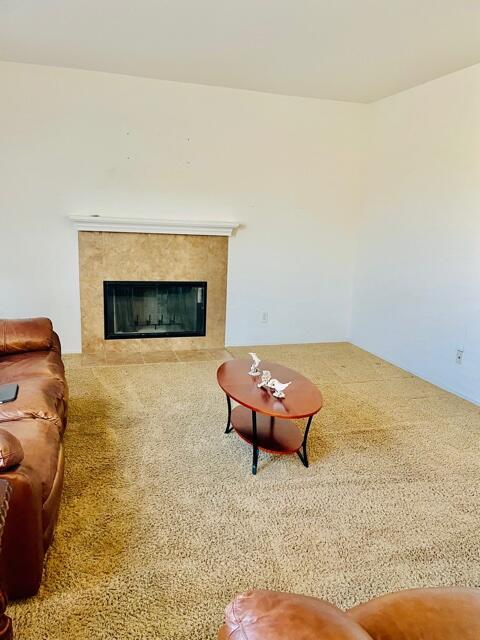 79802 Camden Dr, Indio, CA 92203 photo 11