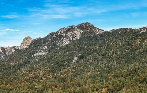 54620 Crest Dr, Idyllwild, CA 92549 photo 48