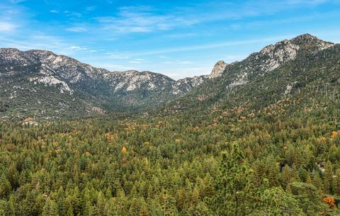 54620 Crest Dr, Idyllwild, CA 92549 photo 46