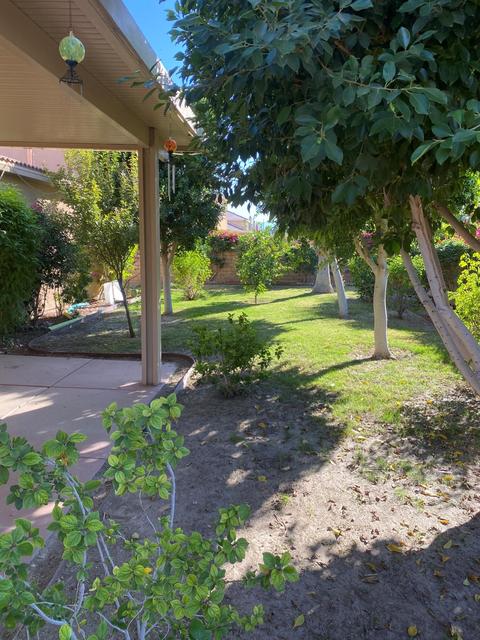 43599 Campo Pl, Indio, CA 92203 photo 21