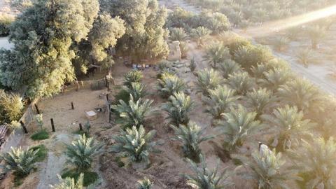 86511 Wallace Rd, Thermal, CA 92274 photo 5