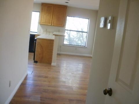 48484 Adeline Way, Morongo Valley, CA 92256 photo 54