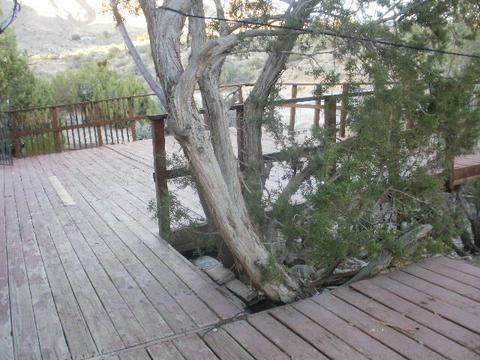 48484 Adeline Way, Morongo Valley, CA 92256 photo 22