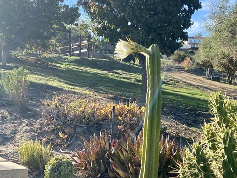 3705 La Canada Rd, Fallbrook, CA 92028 photo 12