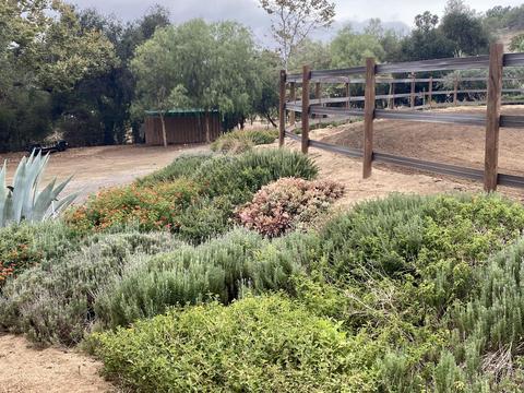 3705 La Canada Rd, Fallbrook, CA 92028 photo 63