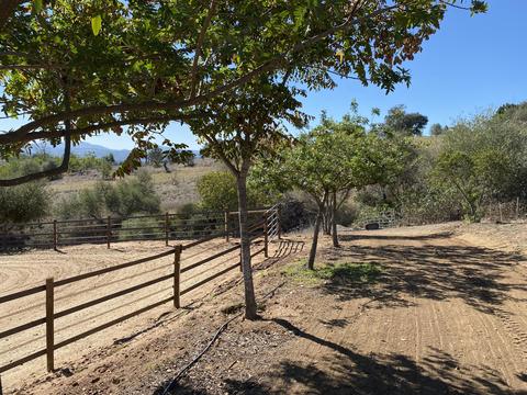 3705 La Canada Rd, Fallbrook, CA 92028 photo 50