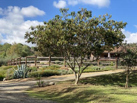 3705 La Canada Rd, Fallbrook, CA 92028 photo 6