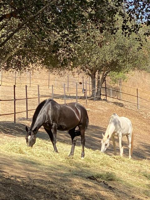 3705 La Canada Rd, Fallbrook, CA 92028 photo 65
