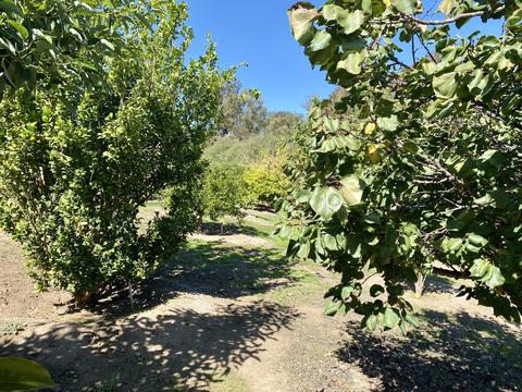 3705 La Canada Rd, Fallbrook, CA 92028 photo 14