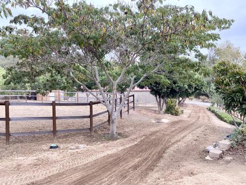 3705 La Canada Rd, Fallbrook, CA 92028 photo 60