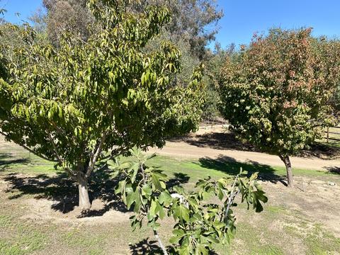 3705 La Canada Rd, Fallbrook, CA 92028 photo 40