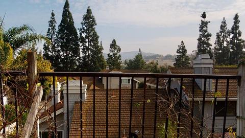 8 Elderberry, Irvine, CA 92603 photo 58