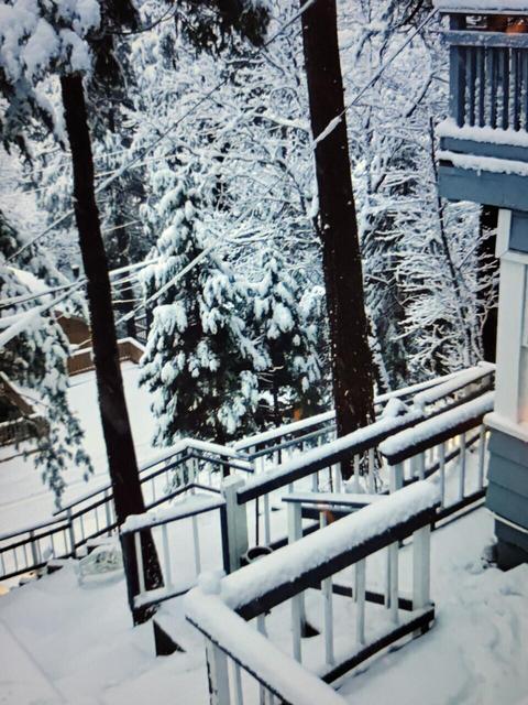 23891 Scenic Dr, Crestline, CA 92325 photo 35