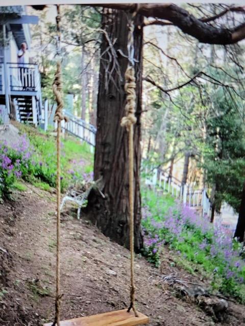 23891 Scenic Dr, Crestline, CA 92325 photo 25
