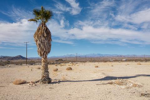 64626 Del Rey Rd, Joshua Tree, CA 92252 photo 26