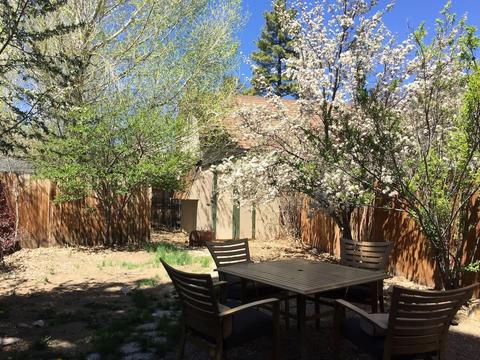 1031 Sequoia Drive Dr, Big Bear City, CA 92314 photo 19