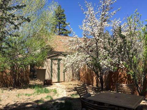 1031 Sequoia Drive Dr, Big Bear City, CA 92314 photo 18