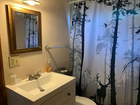 1031 Sequoia Drive Dr, Big Bear City, CA 92314 photo 15
