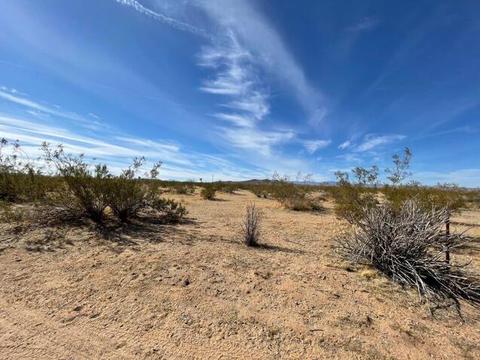 61186 Sespe St, Landers, CA 92285 photo 34