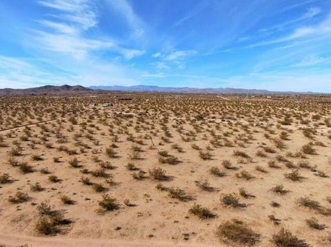 61186 Sespe St, Landers, CA 92285 photo 31