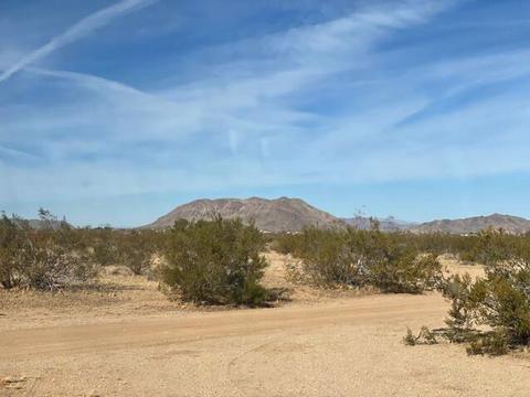 61186 Sespe St, Landers, CA 92285 photo 32