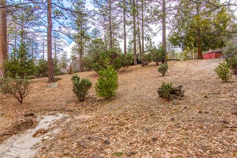 54645 Pine Crest Ave, Idyllwild, CA 92549 photo 56