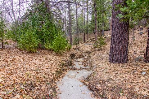 54645 Pine Crest Ave, Idyllwild, CA 92549 photo 1