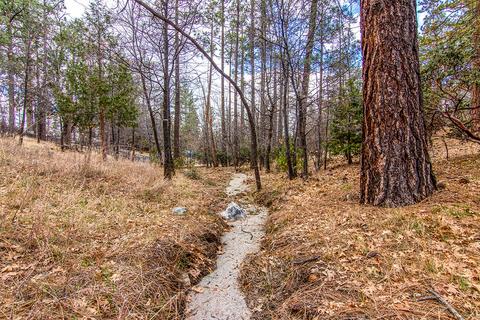 54645 Pine Crest Ave, Idyllwild, CA 92549 photo 55
