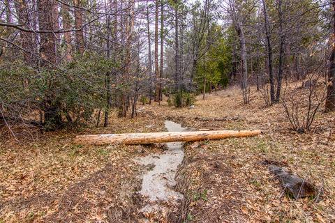 54645 Pine Crest Ave, Idyllwild, CA 92549 photo 54