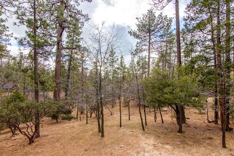 54645 Pine Crest Ave, Idyllwild, CA 92549 photo 62