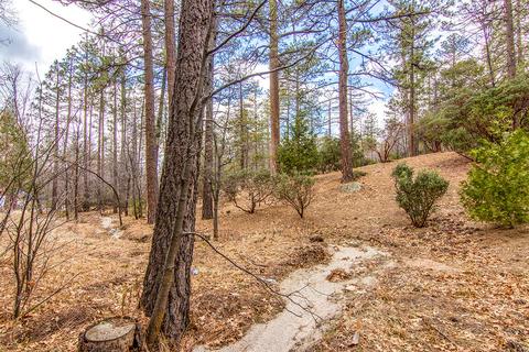 54645 Pine Crest Ave, Idyllwild, CA 92549 photo 57