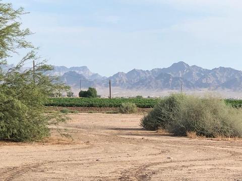 1204 E 11th Ave, Blythe, CA 92225 photo 4